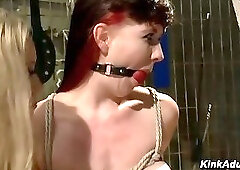 Blonde lesbian gang Lorelei Lee Aiden Starr whip fist and strap on fuck Nerine Mechanique