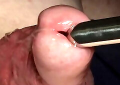 13mm Hegar Sounding big red uncut Head w live moaning