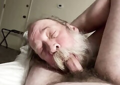 Daddy Bear Sucking Hairy Cub Cock - Big Bearded Face Fuck