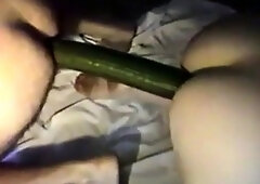 Globale grdsjenters hager