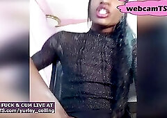 Big Black Cock Ebony Shemale