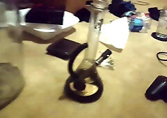 Stoner Bear Milking and Flashing Trunk