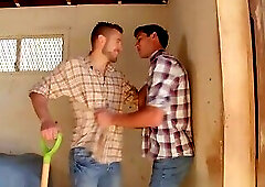 Gay Bareback Sex With Cumswapping