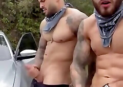 Alphas spreading semen