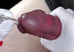 Flawless extraction of semen directly from the urethra. Close-up of the glass straw sounding.