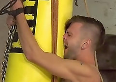 Submissive twink tied up for erotic flogging and hardcore drilling