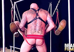 BEARFILMS Rex Hunter Wet Smashed By Hairy man Scotty Anger