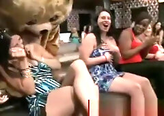 Cfnm bear mascot gets stripped