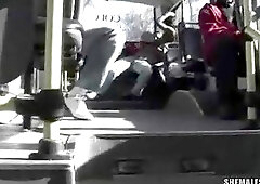Tranny Public Sex in a Bus