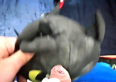 Dragon "Toothless two" Fun4