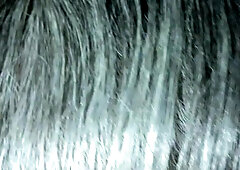 POINT OF VIEW DT, THE 1ST six MINS OF THE 30 MINS IT TOOK