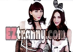 Busty shemale bunnies fucked each others ass bareback