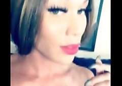 Mucho Shemales and Trans 2