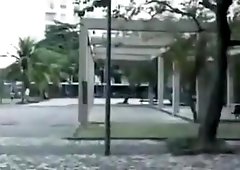 picked up in the park