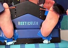 Master Matt Begs For Mercy!