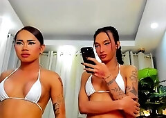 Amateur busty shemale fucking ass of tranny