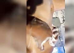 Homemade wife bathing episode