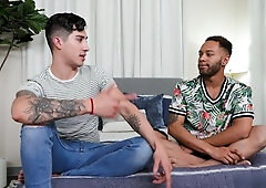 Stag Collective: Black Beauty Plows A Pink Hole