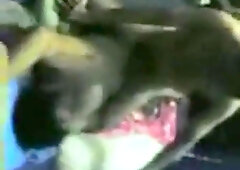 Indonesian Gay Amateur 2